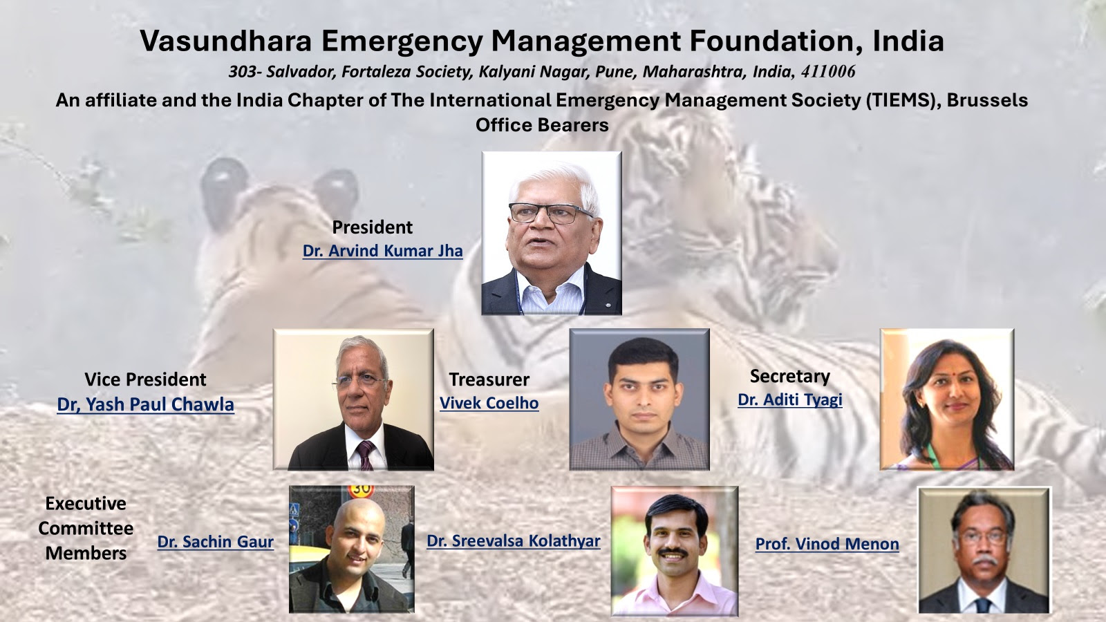 THE INTERNATIONAL EMERGENCY MANAGEMENT SOCIETY﻿