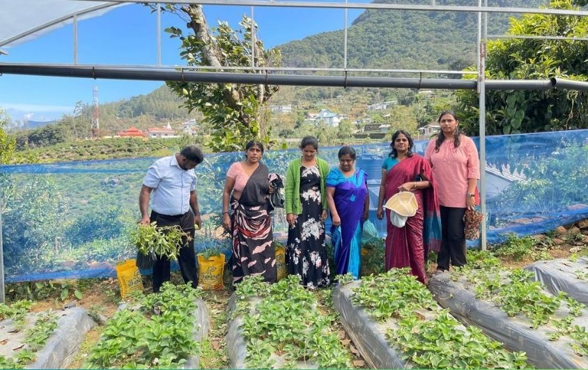 CIRDAP-HARTI Research Project Meeting Held in Nuwara-Eliya, Sri Lanka